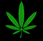 see me,roll me,smoke me